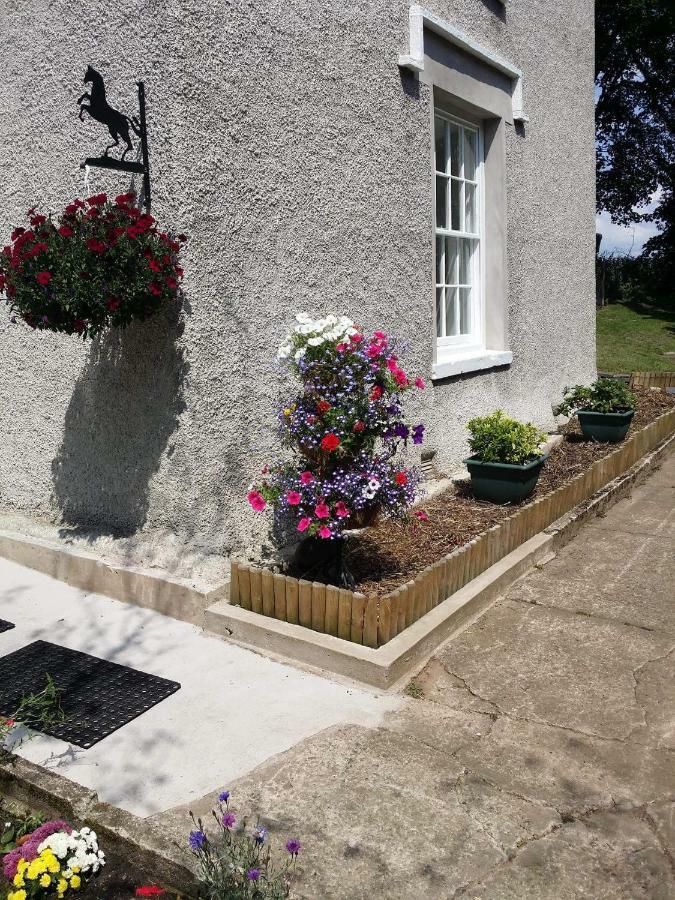 Roosecote Guest House Barrow-in-Furness Exterior photo